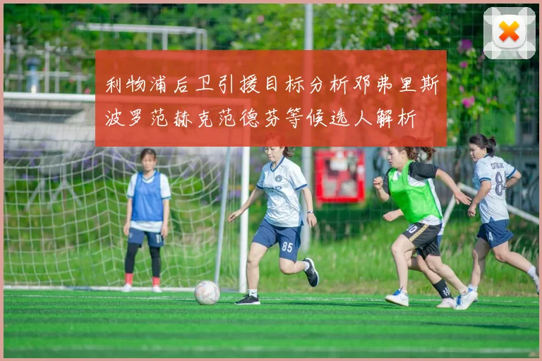 利物浦后卫引援目标分析邓弗里斯波罗范赫克范德芬等候选人解析