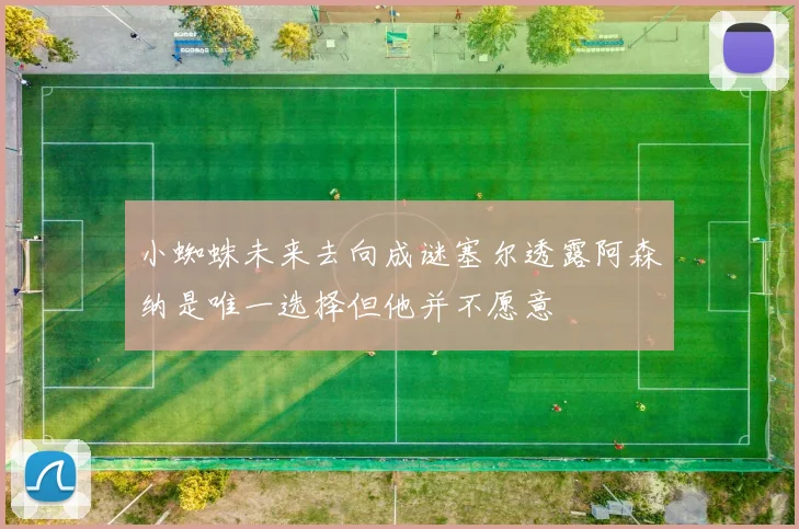 小蜘蛛未来去向成谜塞尔透露阿森纳是唯一选择但他并不愿意