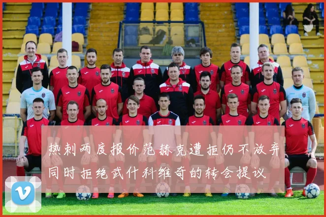热刺两度报价范赫克遭拒仍不放弃同时拒绝武什科维奇的转会提议